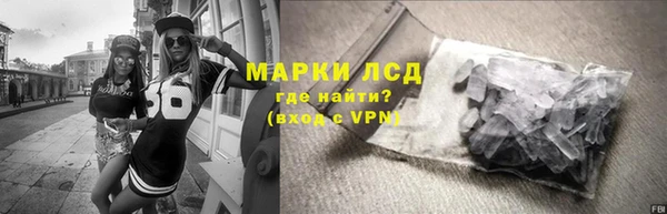 сатива Баксан